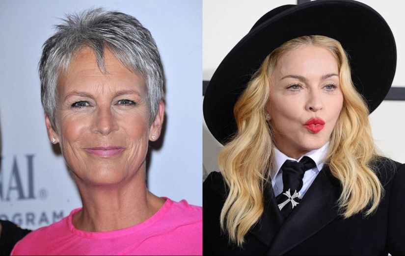 Celebrity Peers: The Art of Persistence