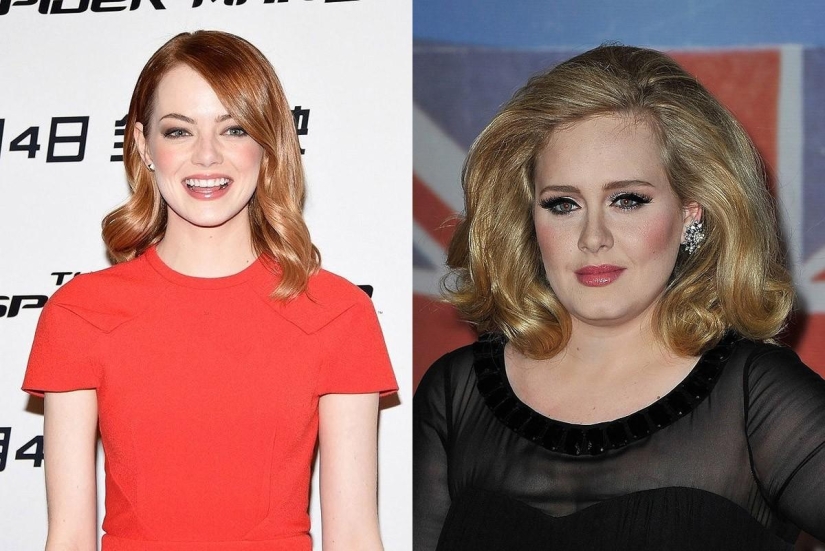 Celebrity Peers: The Art of Persistence