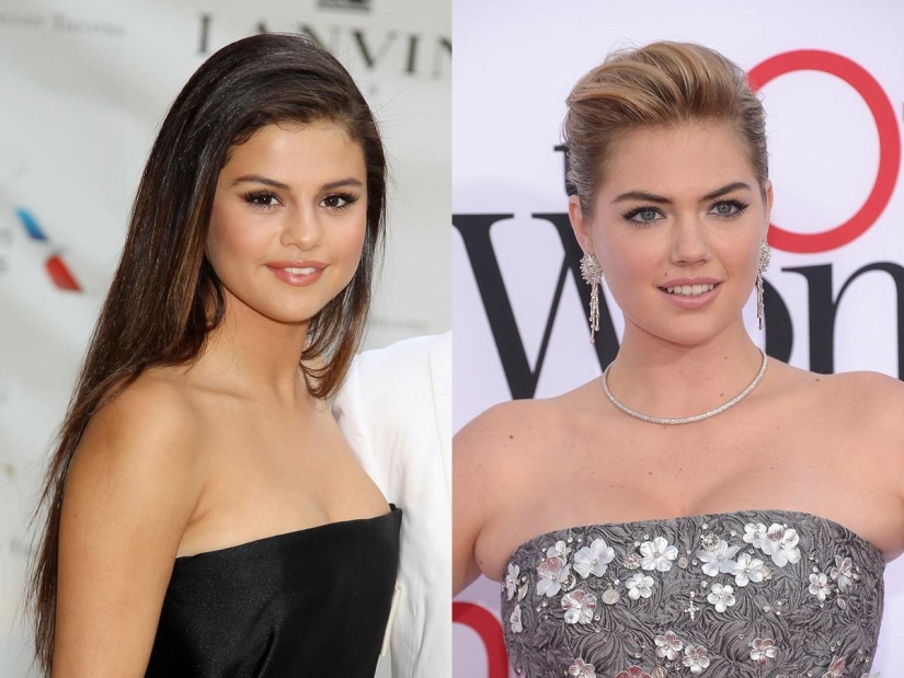 Celebrity Peers: The Art of Persistence