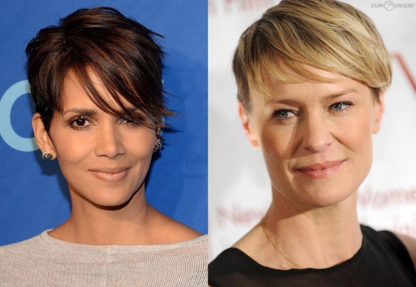 Celebrity Peers: The Art of Persistence