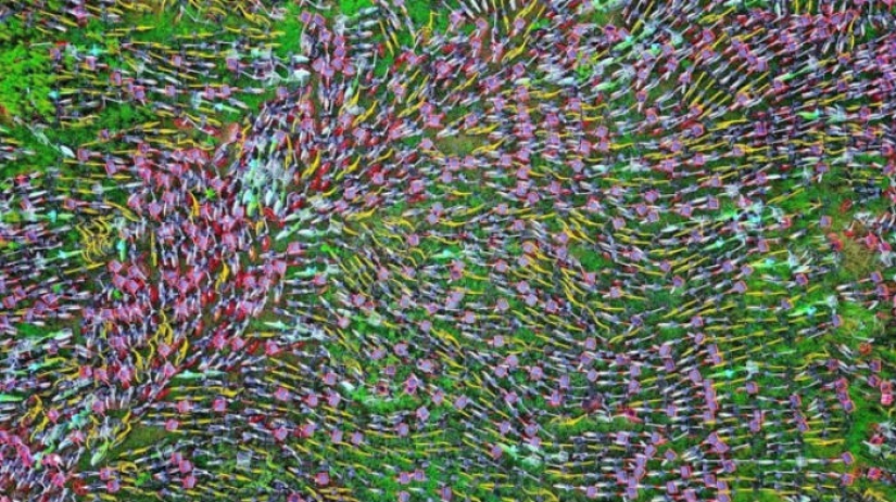 Cementerio de bicicletas: lo que llevó al uso compartido de bicicletas en China