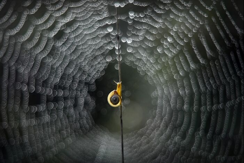 Chasing Light: A Collection Of My 10 Golden Hour Photographs