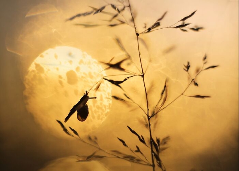 Chasing Light: una colección de mis 10 fotografías de la hora dorada Chasing Light: una colección de mis 10 fotografías de la hora dorada