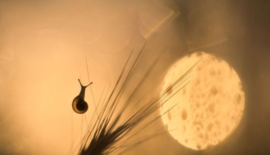 Chasing Light: una colección de mis 10 fotografías de la hora dorada Chasing Light: una colección de mis 10 fotografías de la hora dorada