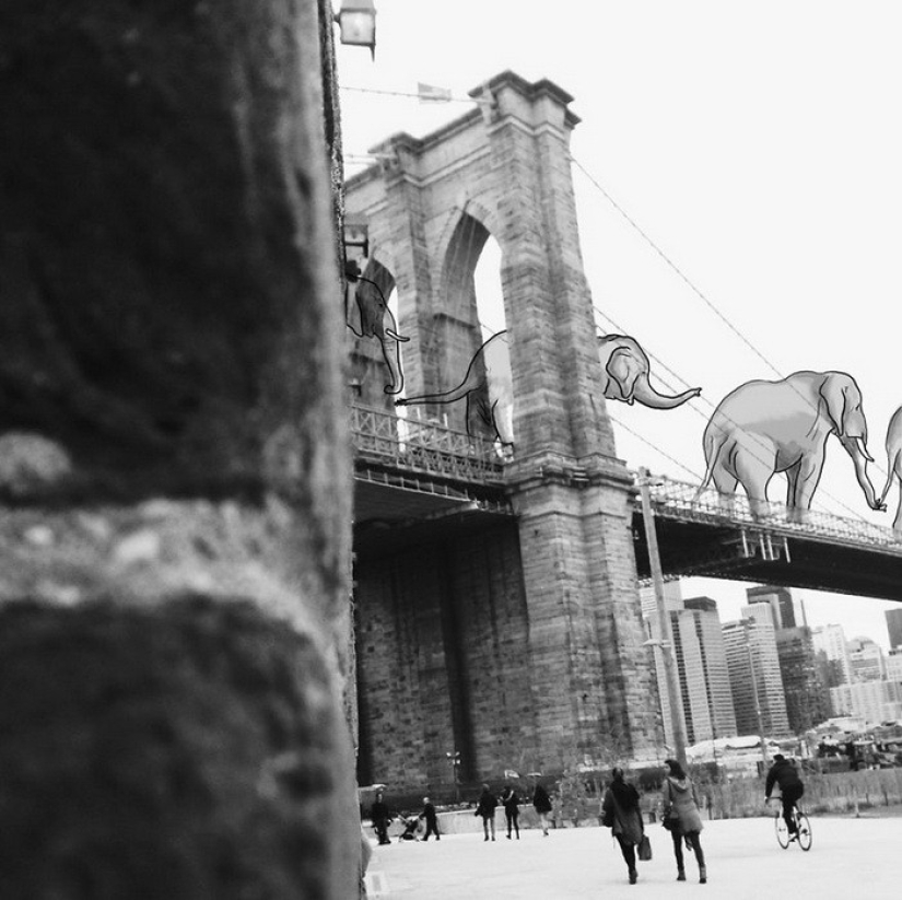 Cheerful New York through the eyes of Eliska Podzimkova