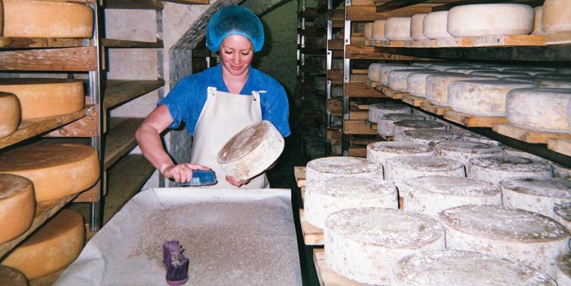 Cheese Hole: One day in the life of a Brooklyn cheese maker