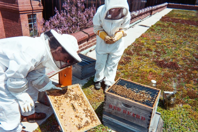 Cheese Hole: One day in the life of a Brooklyn cheese maker