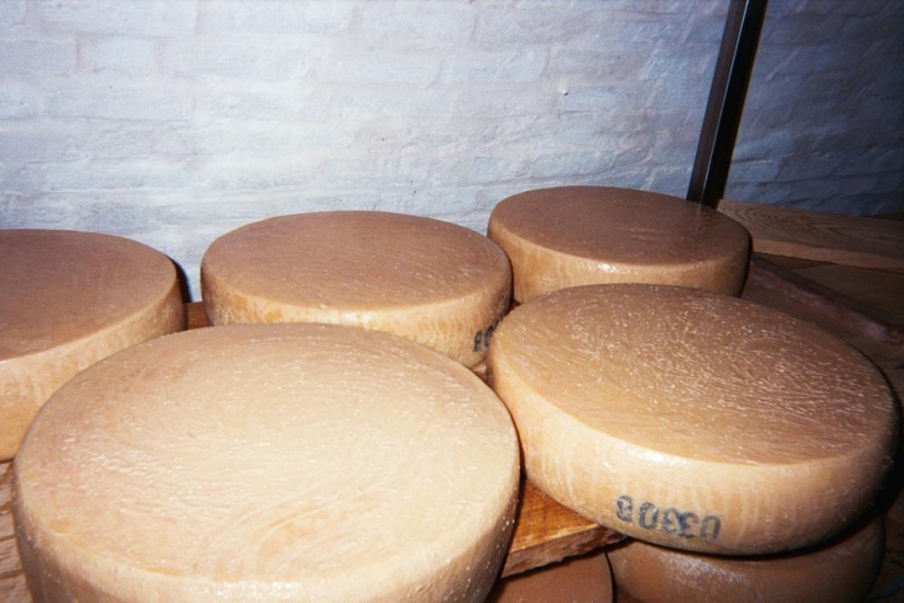 Cheese Hole: One day in the life of a Brooklyn cheese maker