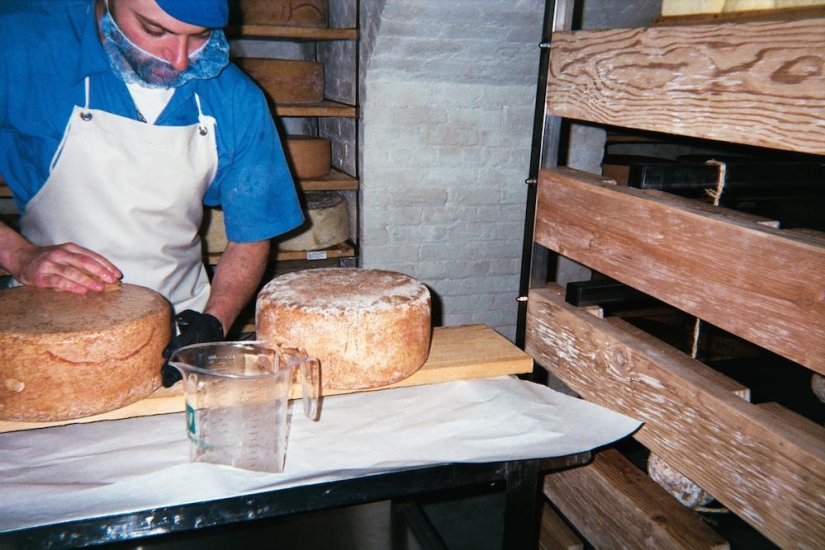 Cheese Hole: One day in the life of a Brooklyn cheese maker