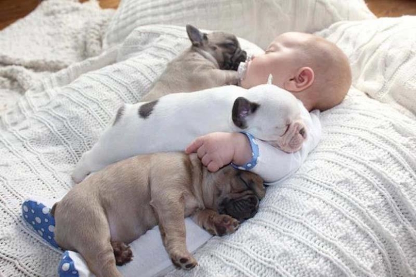 Child and puppies. Outrageous cuteness post