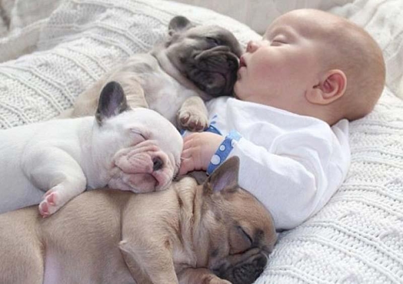 Child and puppies. Outrageous cuteness post