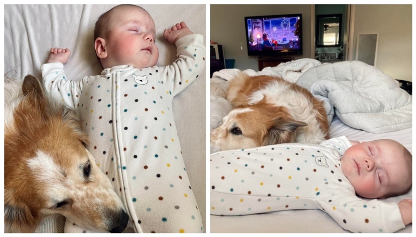 Children are a real joy, and here are 22 proofs Children are a real joy, and here are 22 proofs