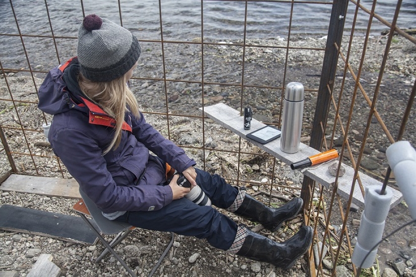 Children in a cage, or how we ended up face to face with bears