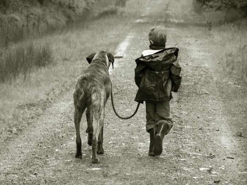 Children taken care of by animals