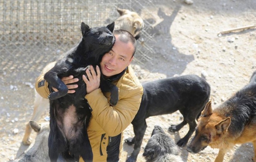 Chinese millionaire goes broke because of dogs Chinese millionaire goes broke because of dogs