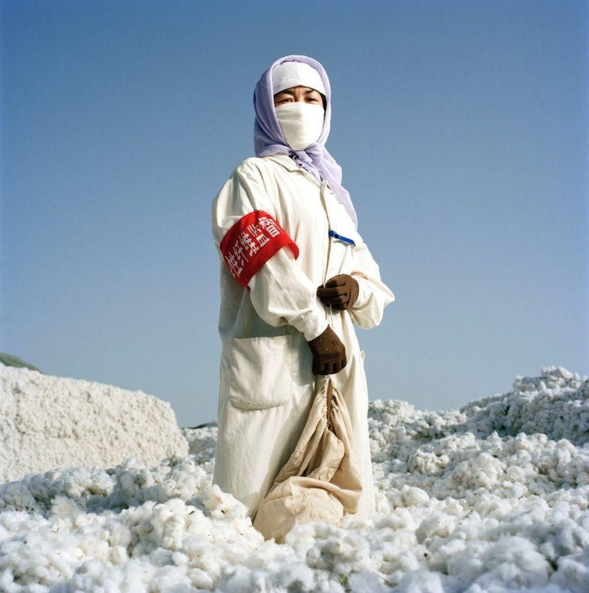 Chinese Portrait Chinese Portrait