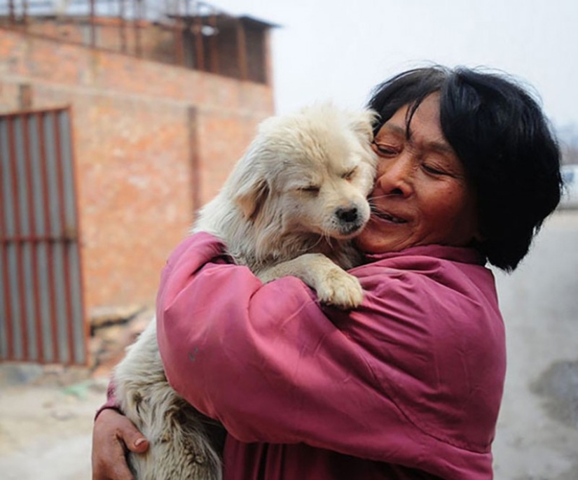 Chinese teacher saves 100 dogs from certain death at dog meat festival