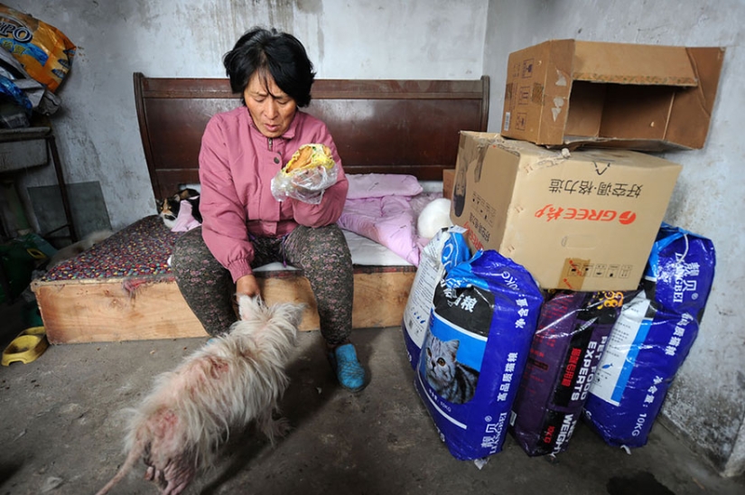 Chinese teacher saves 100 dogs from certain death at dog meat festival Chinese teacher saves 100 dogs from certain death at dog meat festival