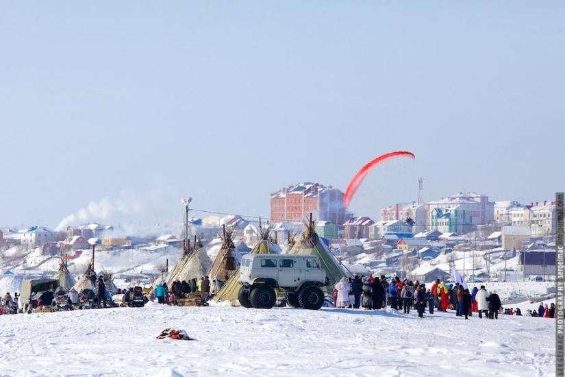 Ciervo corriendo. Yamal