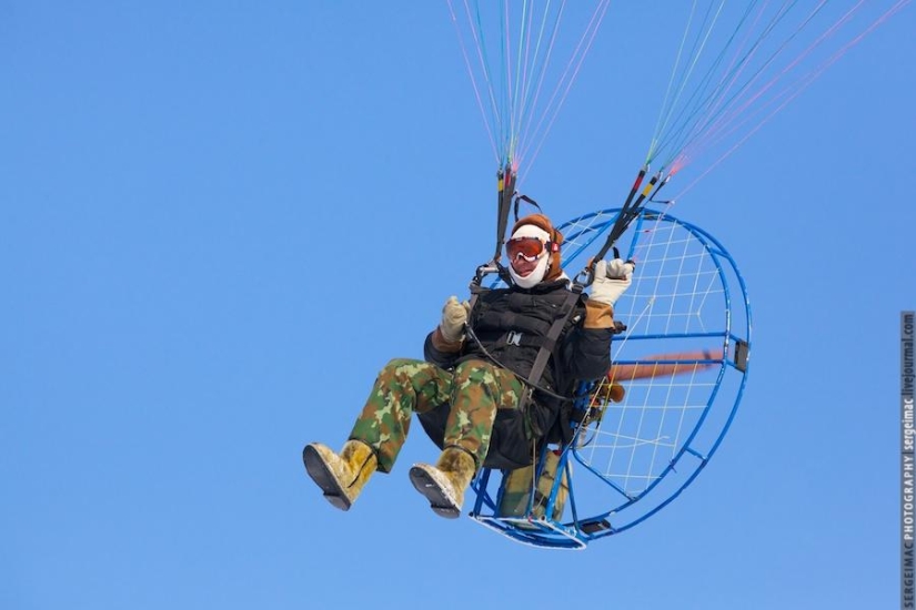 Ciervo corriendo. Yamal