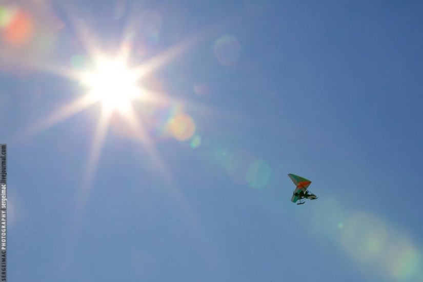 Ciervo corriendo. Yamal