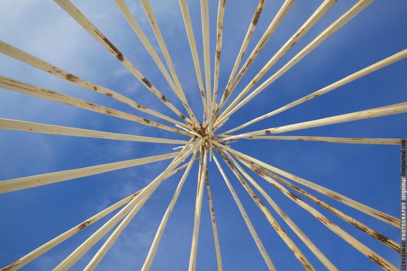 Ciervo corriendo. Yamal