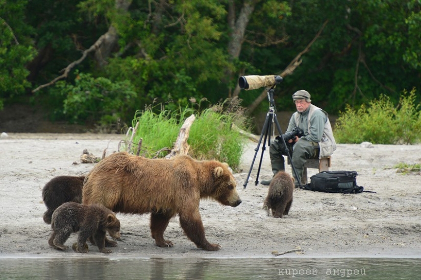 Cinco minutos en la vida de un fotógrafo de animales