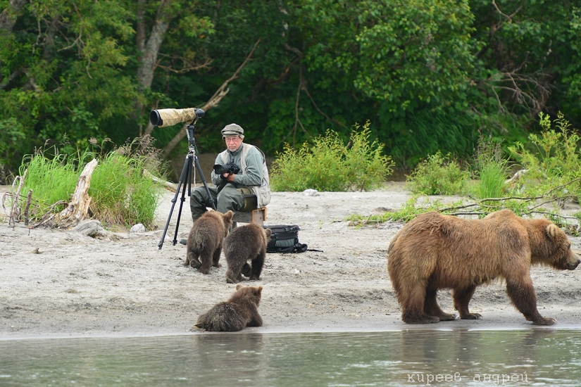 Cinco minutos en la vida de un fotógrafo de animales