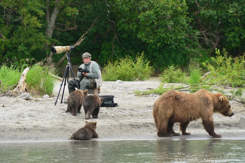 Cinco minutos en la vida de un fotógrafo de animales