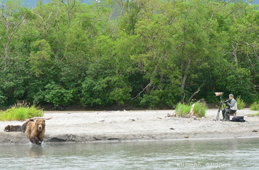 Cinco minutos en la vida de un fotógrafo de animales