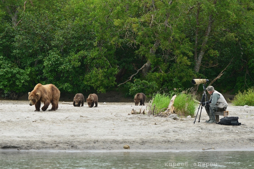 Cinco minutos en la vida de un fotógrafo de animales