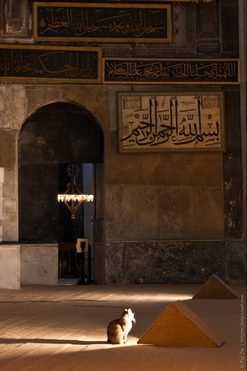 City between Asia and Europe