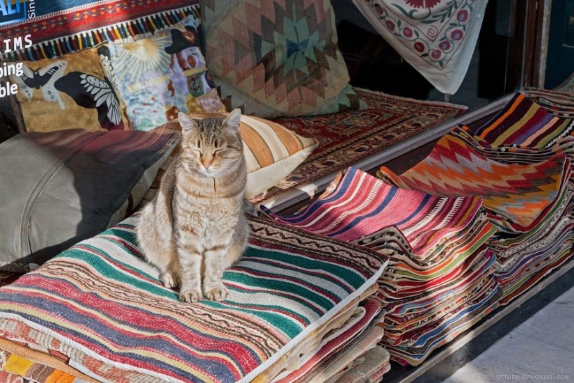 City between Asia and Europe