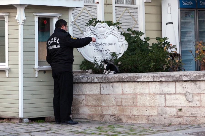 City between Asia and Europe