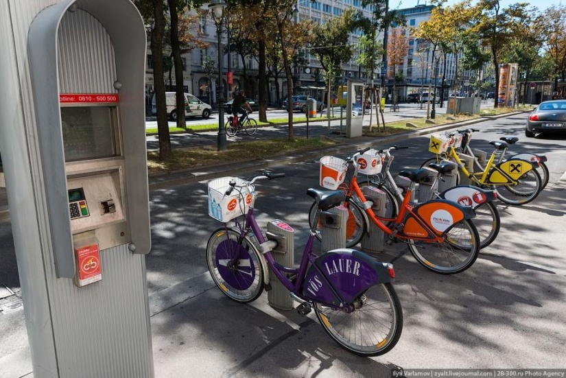 City bike rental opens in Moscow City bike rental opens in Moscow