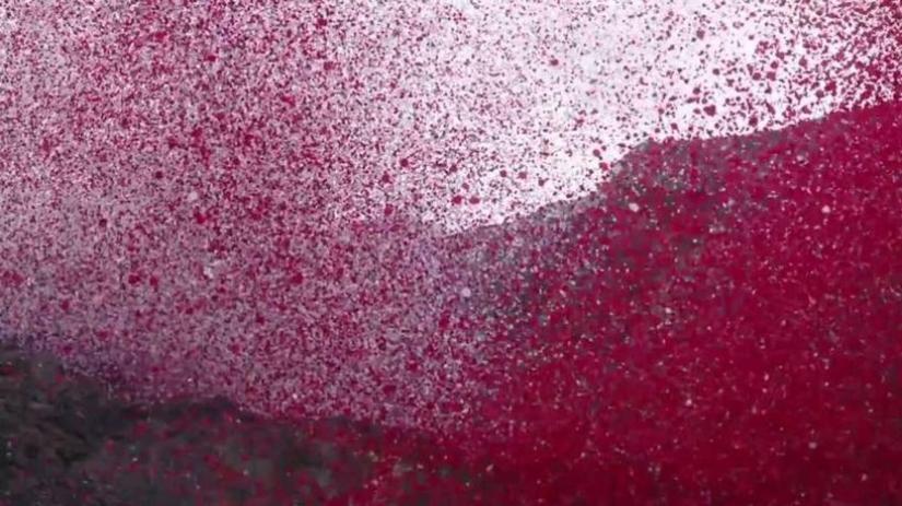 City in Costa Rica filled with 8 million flower petals
