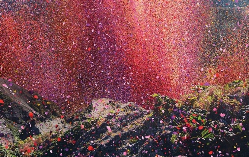 City in Costa Rica filled with 8 million flower petals