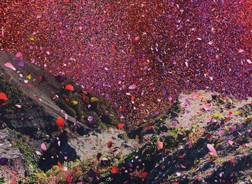 Ciudad de Costa Rica llena de 8 millones de pétalos de flores