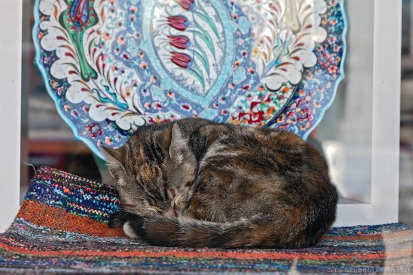 Ciudad entre Asia y Europa