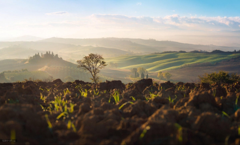Cálido otoño en la Toscana