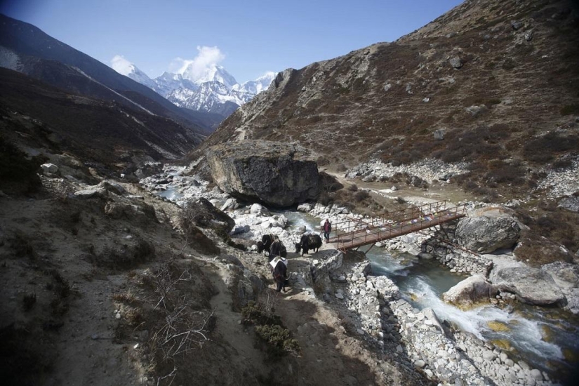 Climbing Everest Climbing Everest