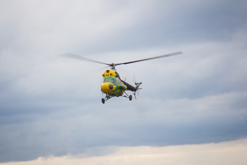 Cómo celebramos el Día del Tanker en la oficina de Wargaming