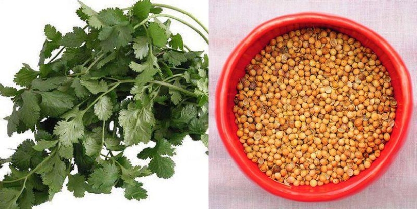 Cómo cocinar comida tailandesa: secretos de los chefs tailandeses