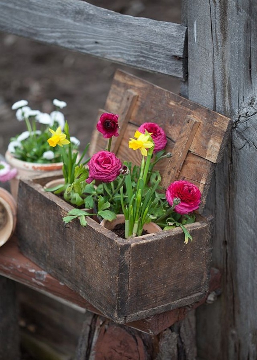 Cómo crear un macizo de flores hermoso e inusual a partir de materiales improvisados: 20 ejemplos