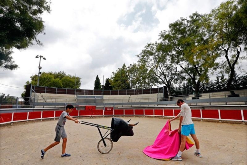 Cómo crecen las futuras estrellas del toreo Cómo crecen las futuras estrellas del toreo