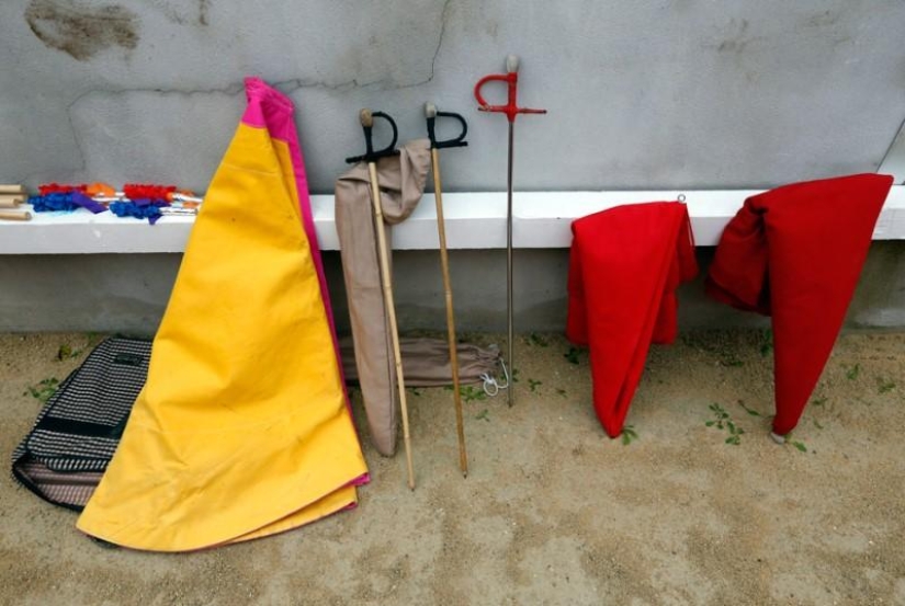 Cómo crecen las futuras estrellas del toreo Cómo crecen las futuras estrellas del toreo