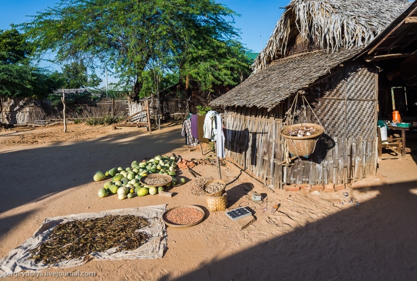 ¿Cómo es la vida en un pueblo rico de Birmania?