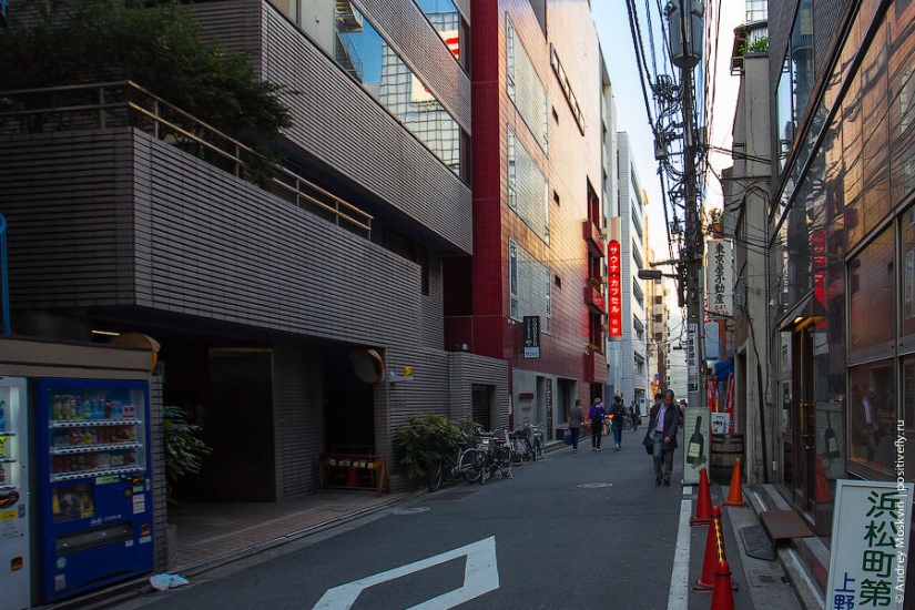 ¿Cómo es pasar la noche en un hotel cápsula japonés? ¿Cómo es pasar la noche en un hotel cápsula japonés?