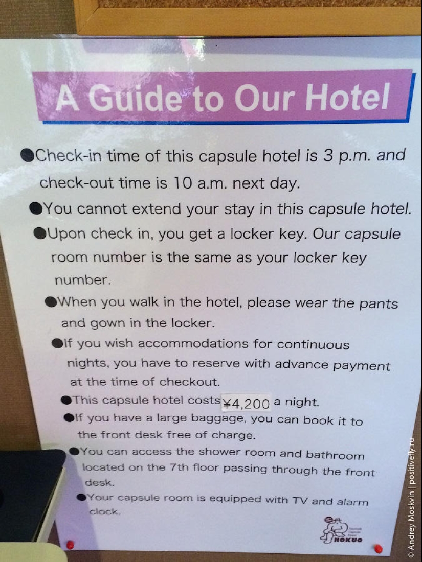 ¿Cómo es pasar la noche en un hotel cápsula japonés? ¿Cómo es pasar la noche en un hotel cápsula japonés?