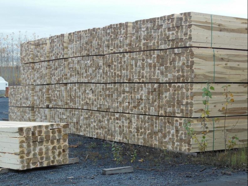 Cómo es una pintoresca granja forestal en Oregón
